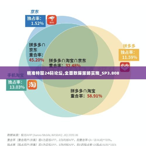 精准特围24码论坛,全面数据策略实施_SP3.808