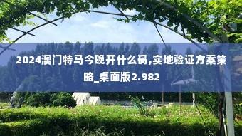 2024澳门特马今晚开什么码,实地验证方案策略_桌面版2.982