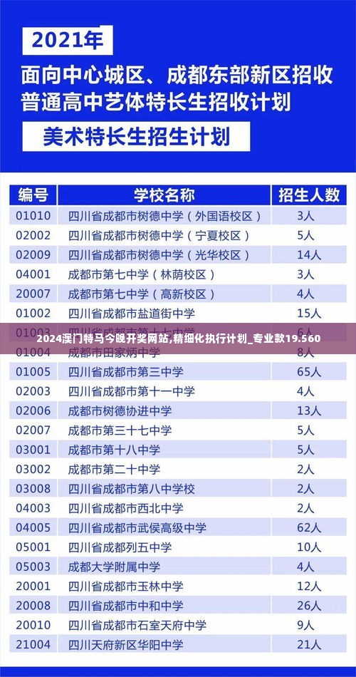 2024澳门特马今晚开奖网站,精细化执行计划_专业款19.560