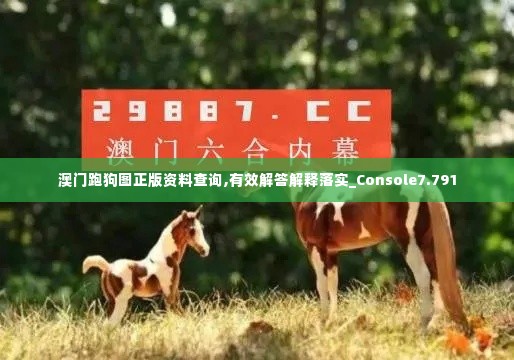 澳门跑狗图正版资料查询,有效解答解释落实_Console7.791