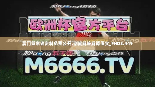 澳门管家婆资料免费公开,彻底解答解释落实_FHD3.449