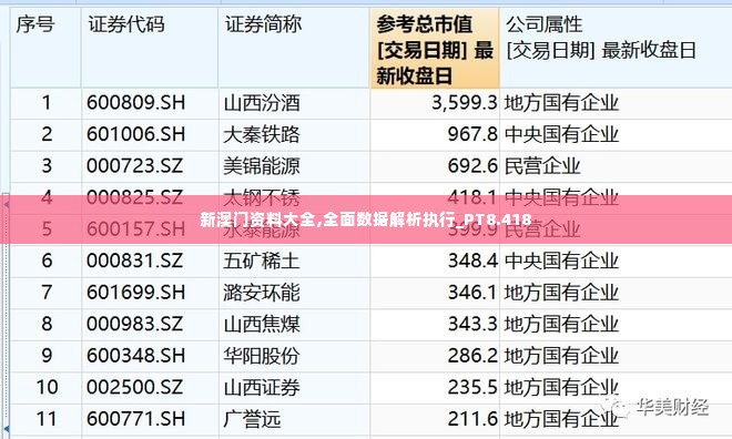 新澳门资料大全,全面数据解析执行_PT8.418