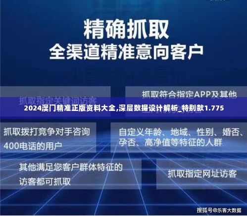 2024澳门精准正版资料大全,深层数据设计解析_特别款1.775