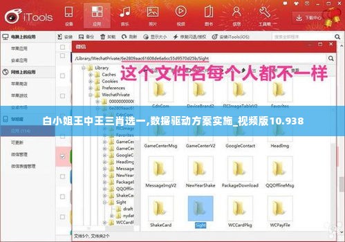 白小姐王中王三肖选一,数据驱动方案实施_视频版10.938