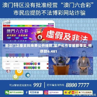 新澳门正版资料免费公开挂牌,国产化作答解释落实_特供款6.481