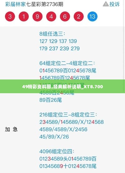 49特彩资料图,经典解析说明_XT8.700