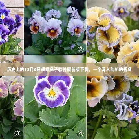 花香鸟语 第2页