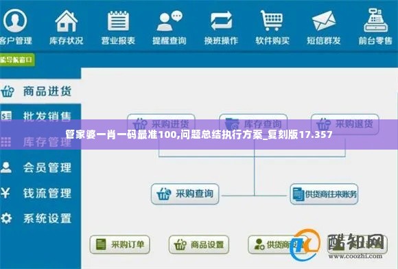 管家婆一肖一码最准100,问题总结执行方案_复刻版17.357