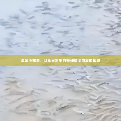 汕头日常，特殊猜测与爱的温馨传递故事