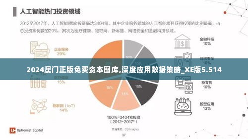 2024澳门正版免费资本图库,深度应用数据策略_XE版5.514