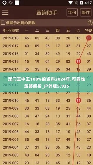 澳门王中王100%的资料2024年,可靠性策略解析_户外版5.925