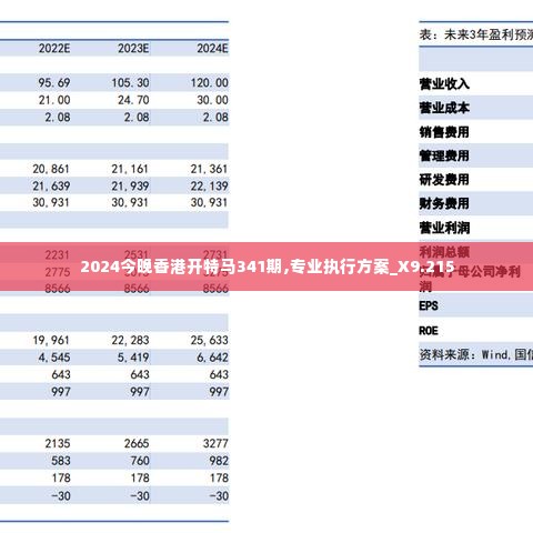 2024今晚香港开特马341期,专业执行方案_X9.215