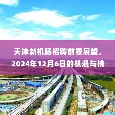 天津新机场招聘前景展望，机遇与挑战并存，聚焦2024年12月6日展望