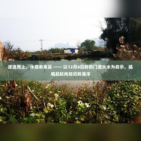 逆流而上，借涨水之势扬帆知识海洋，以启示为动力启航学习之旅