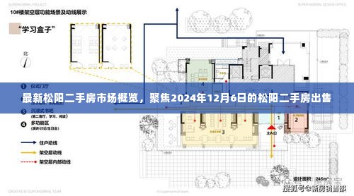 松阳二手房市场最新概览，聚焦出售市场与趋势分析（2024年12月6日）