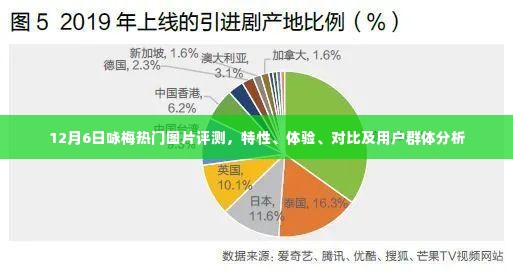 12月6日热门梅花图片评测，特性、体验、对比及用户群体深度剖析