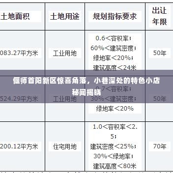 偃师首阳新区惊喜角落，小巷特色小店秘闻大揭秘