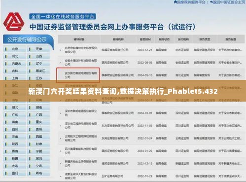 新澳门六开奖结果资料查询,数据决策执行_Phablet5.432