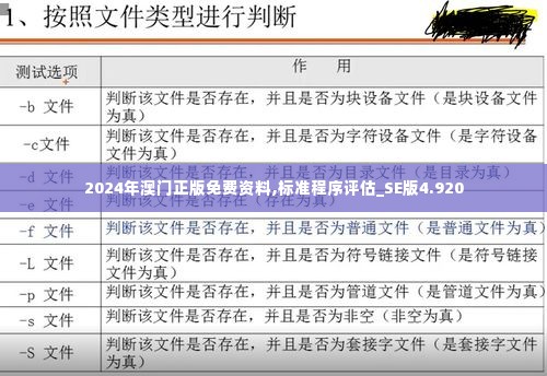 2024年澳门正版免费资料,标准程序评估_SE版4.920