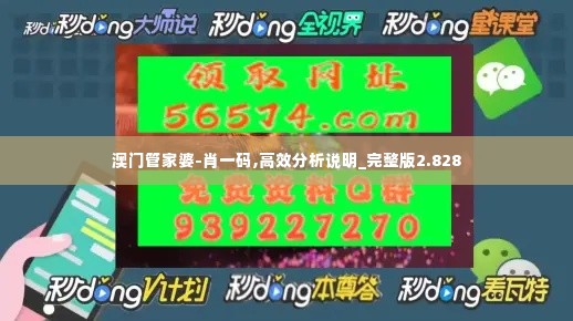 澳门管家婆-肖一码,高效分析说明_完整版2.828