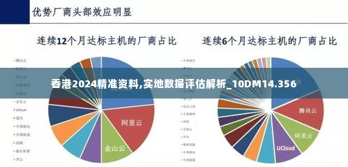 香港2024精准资料,实地数据评估解析_10DM14.356