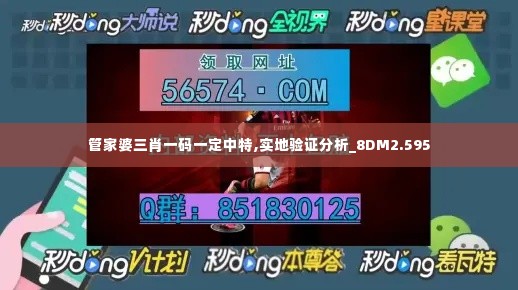 管家婆三肖一码一定中特,实地验证分析_8DM2.595