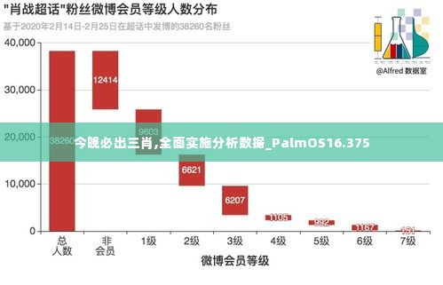 今晚必出三肖,全面实施分析数据_PalmOS16.375