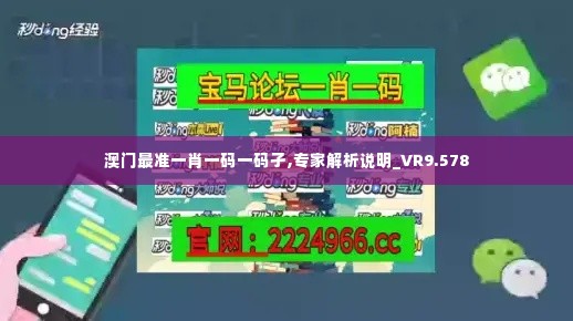 澳门最准一肖一码一码孑,专家解析说明_VR9.578