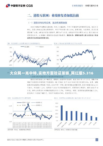 大众网一肖中特,实地方案验证策略_网红版5.316