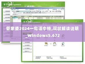 管家婆2024一句话中特,现状解读说明_Windows5.672