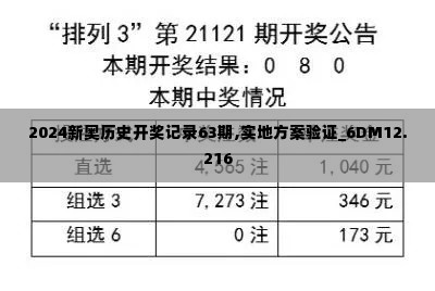 2024新奥历史开奖记录63期,实地方案验证_6DM12.216