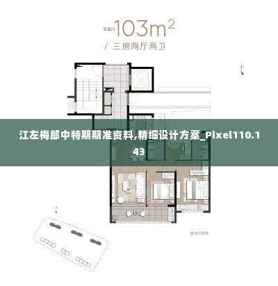 江左梅郎中特期期准资料,精细设计方案_Pixel110.143