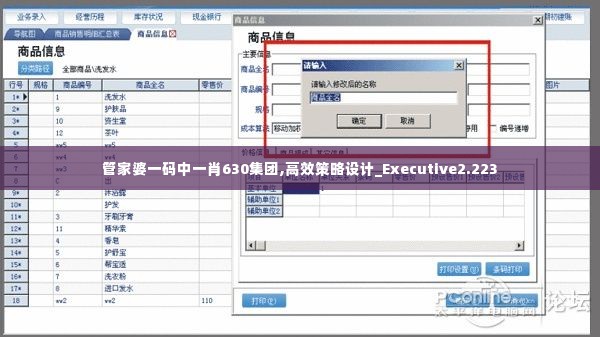 管家婆一码中一肖630集团,高效策略设计_Executive2.223