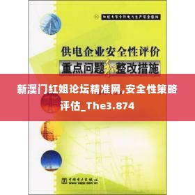 新澳门红姐论坛精准网,安全性策略评估_The3.874