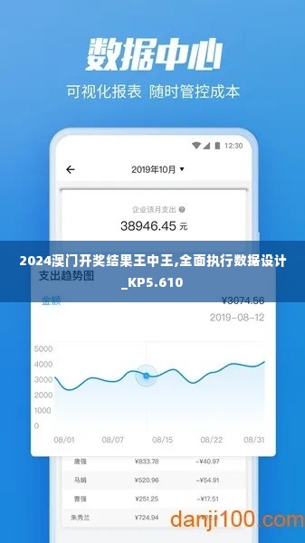 2024澳门开奖结果王中王,全面执行数据设计_KP5.610