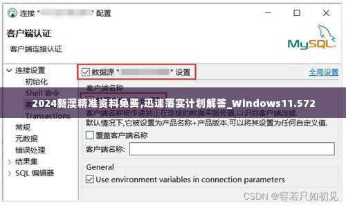 2024新澳精准资料免费,迅速落实计划解答_Windows11.572