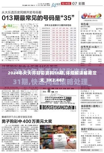 2024年天天开好彩资料56期,详细解读解释定义_3K2.467