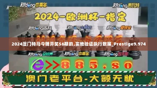 2024澳门特马今晚开奖56期的,实地验证执行数据_Prestige9.974