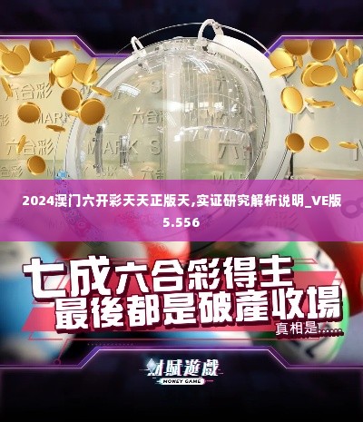 2024澳门六开彩天天正版天,实证研究解析说明_VE版5.556