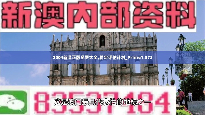 2004新澳正版免费大全,稳定评估计划_Prime1.572