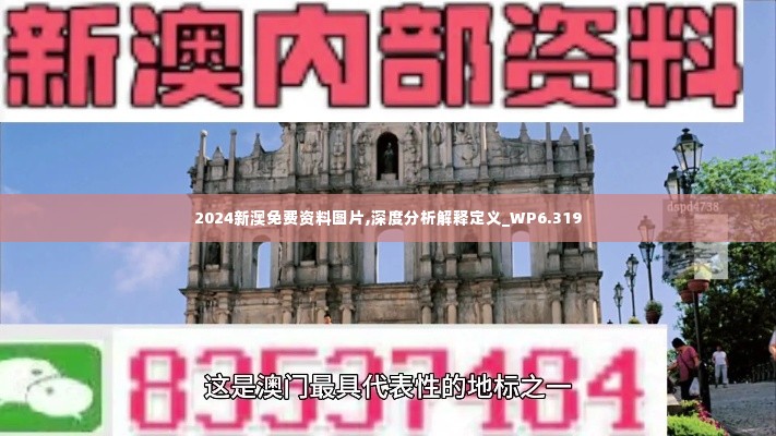 2024新澳免费资料图片,深度分析解释定义_WP6.319