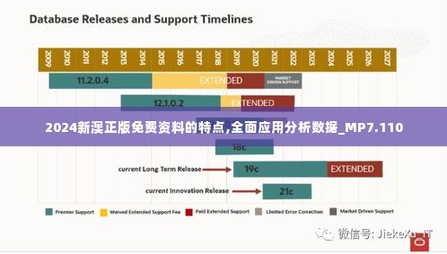 2024新澳正版免费资料的特点,全面应用分析数据_MP7.110