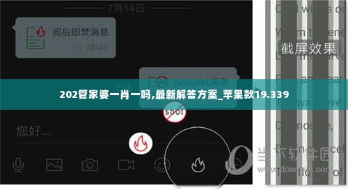 202管家婆一肖一吗,最新解答方案_苹果款19.339