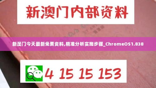 新澳门今天最新免费资料,精准分析实施步骤_ChromeOS1.838