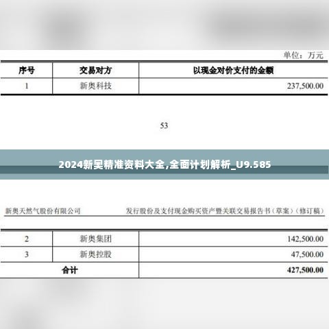 2024新奥精准资料大全,全面计划解析_U9.585