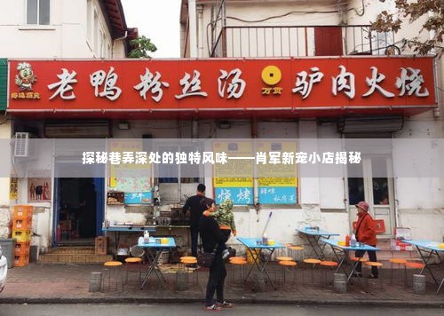 巷弄深处的独特风味探秘，肖军新宠小店的秘密