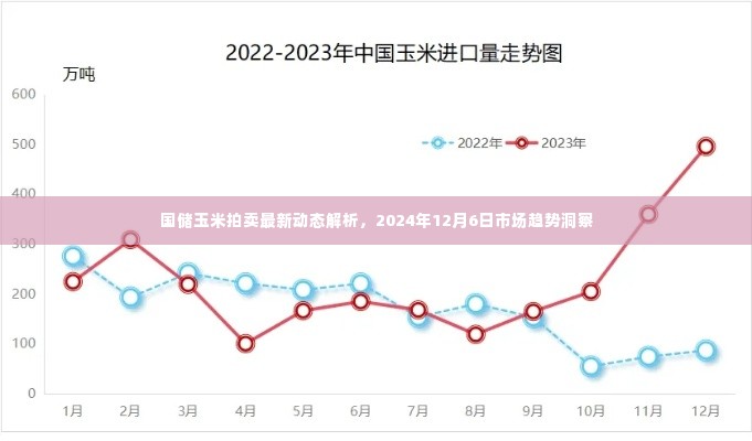 国储玉米拍卖最新动态解析及市场趋势展望（2024年12月6日）