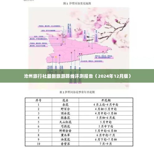 沧州旅行社最新旅游路线评测报告（全面解读）