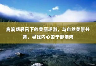 禽流感轻讯下的自然之旅，寻找心灵的宁静港湾