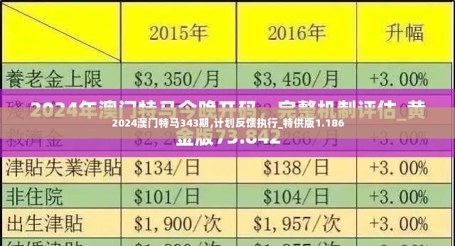 2024澳门特马343期,计划反馈执行_特供版1.186